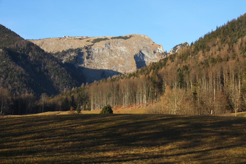 Haus Seeschwalbe Saint Wolfgang Exteriör bild